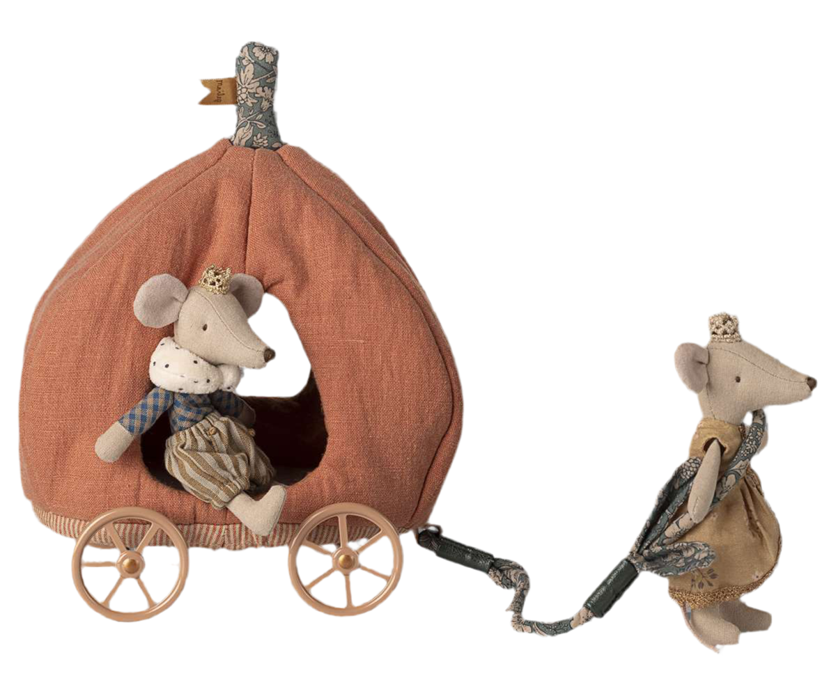 Carrozza zucca per topini