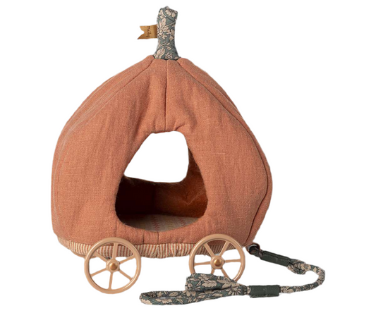 Carrozza zucca per topini
