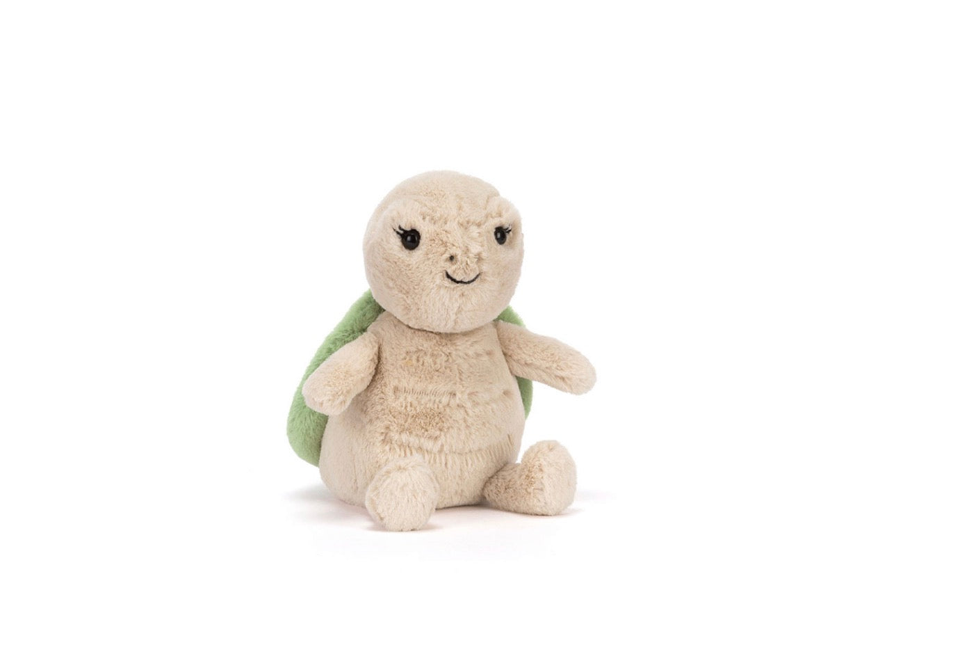 Thimble Turtle